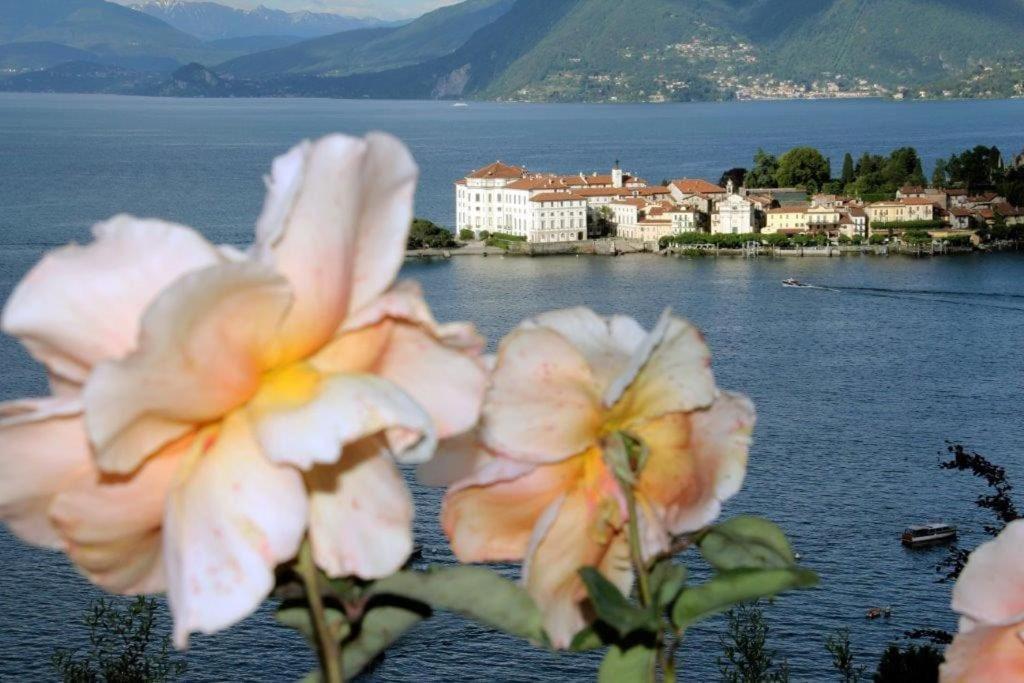 Villa Gaia Stresa Exterior photo